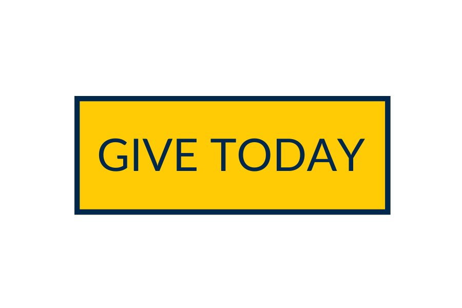 Give Today Button