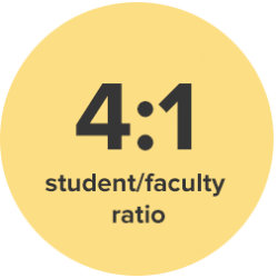 4:1 student/faculty ratio