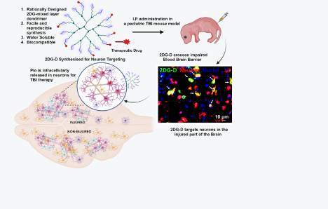 Cell-Targeted Drug Delivery for Brain Diseases