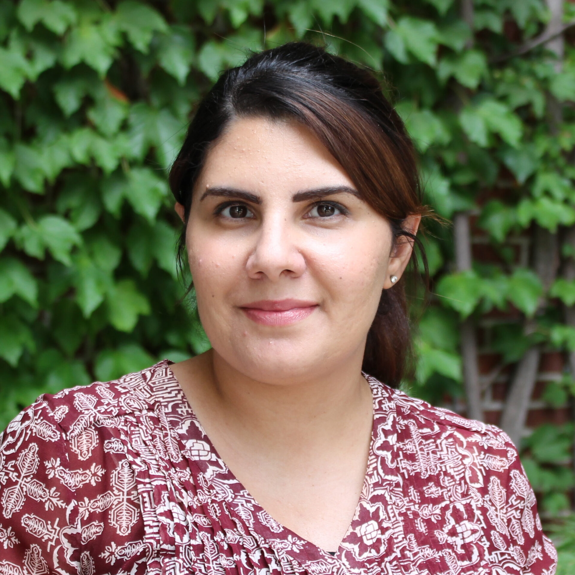 Dr. Rima Mohammad Named 2021 Teaching Excellence Award Winner | UM ...