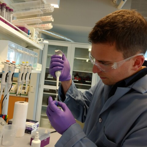 A person in a lab coat and gloves uses a pipette in a laboratory setting. 