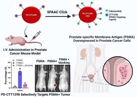 PSMA