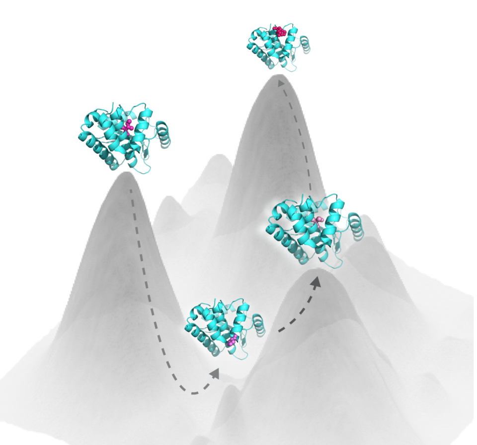 Illustration depicting multiple molecules moving along pathway slopes.